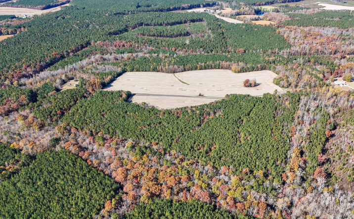 Pictures of Land property located at 5663 Longview Drive, Kenbridge, VA 23944 for sales - image #1