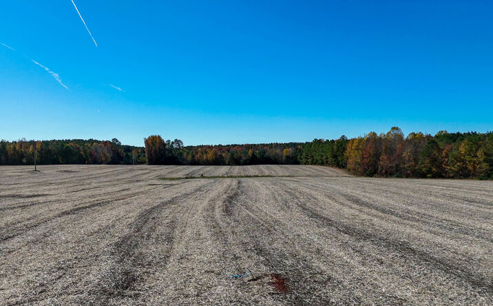 Pictures of Land property located at 5664 Longview Dr, Kenbridge, VA 23944 for sales - image #1