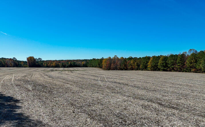 Pictures of Land property located at 5662 Longview Drive, Kenbridge, VA 23944 for sales - image #1