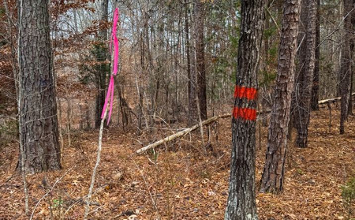 Pictures of Land property located at 180 Forest Home Lane, Henderson, NC 27537 for sales - image #1