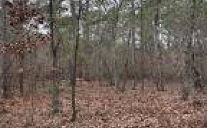 Pictures of Land property located at 000 Old China Springs Road, Aiken, SC 29801 for sales - image #1