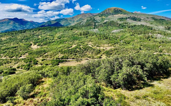 Pictures of Land property located at 1368 Cr 124, Durango, CO 81301 for sales - image #1