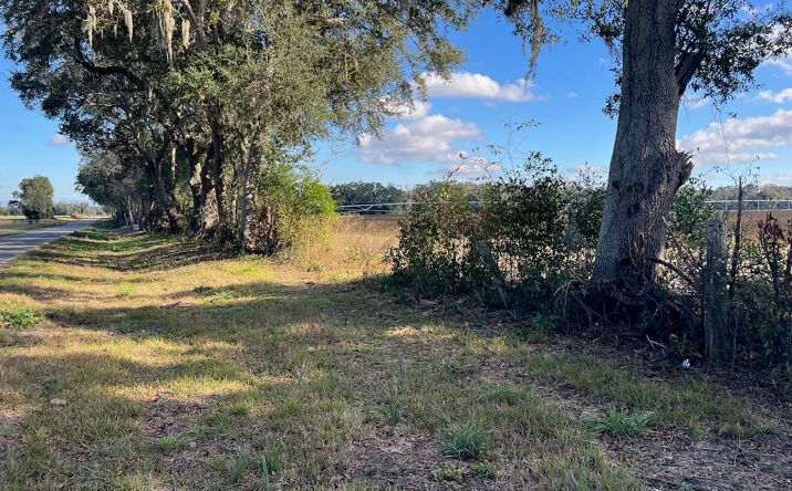 Pictures of Land property located at NE 150th St, Trenton, FL 32693 for sales - image #1