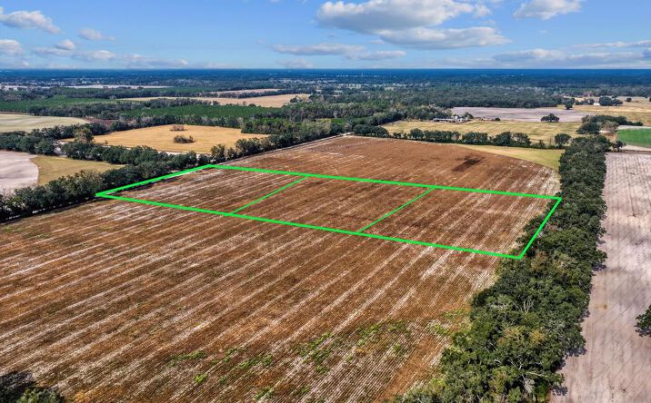Pictures of Land property located at NE 150th St, Trenton, FL 32693 for sales - image #1