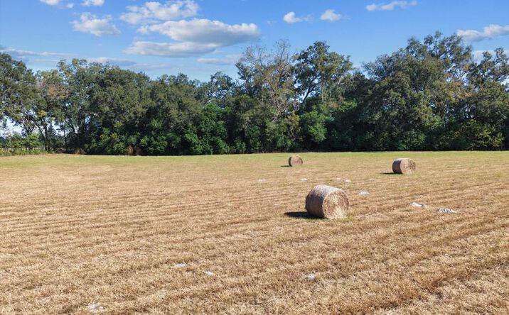 Pictures of Land property located at NE 150th St, Trenton, FL 32693 for sales - image #1