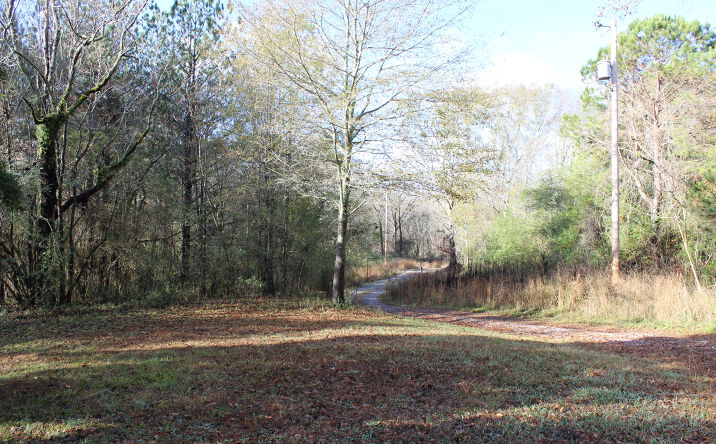 Pictures of Land property located at 1628 Childhaven Rd NE, Cullman, AL 35055 for sales - image #1