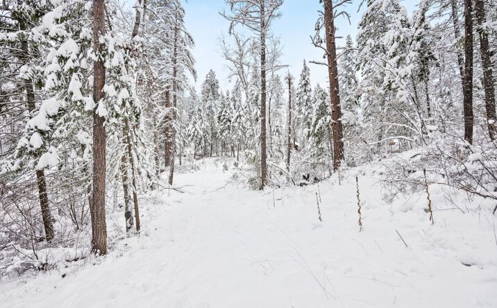 Pictures of Land property located at 375 Ranch Rd, Bigfork, MT 59911 for sales - image #1