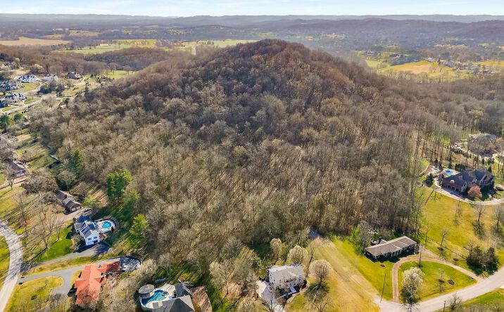 Pictures of Land property located at 0 Steeplechase Ln, Franklin, TN 37069 for sales - image #1