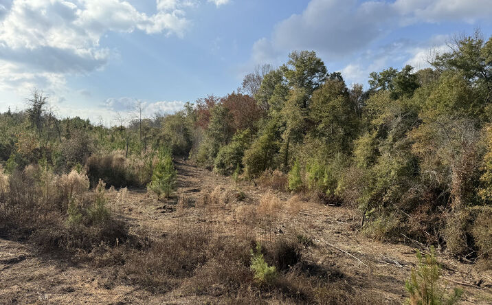 Pictures of Land property located at Deer Creek Path, Stonecrest, GA 30038 for sales - image #1