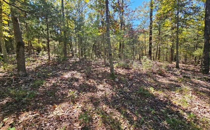 Pictures of Land property located at 000 Rolling Hills Block 11 Lot 22, Theodosia, MO 65761 for sales - image #1