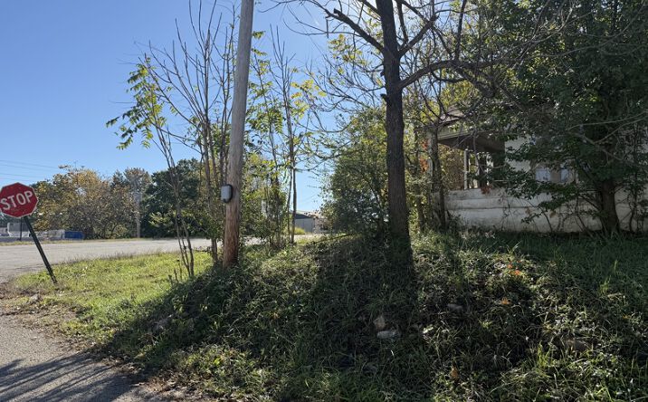 Pictures of Land property located at TBD Gracey Ave, Thayer, MO 65791 for sales - image #1