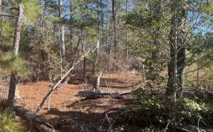 Pictures of Land property located at 000 Off Fairway Drive, New Ellenton, SC 29809 for sales - image #1