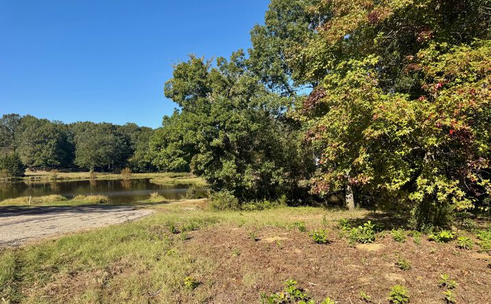 Pictures of Land property located at Lot 18 County Road 1216, Pittsburg, TX 75686 for sales - image #1