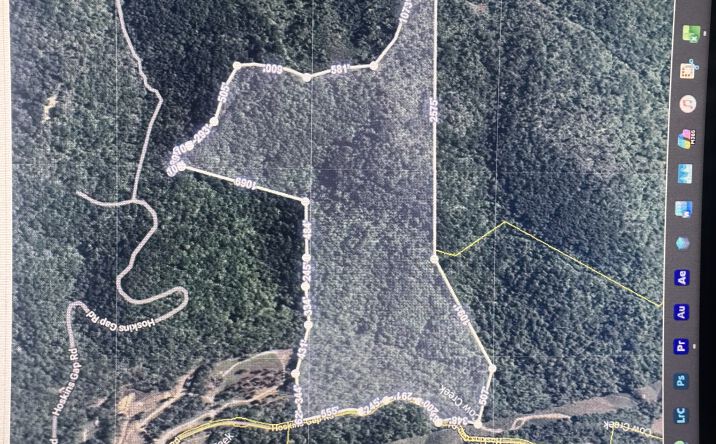 Pictures of Land property located at Hoskins Gap Rd, Oliver Springs, TN 37840 for sales - image #1