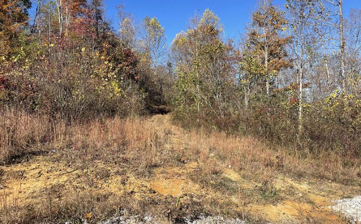 Pictures of Land property located at 240 Malone Ridge Rd, Albany, KY 42602 for sales - image #1