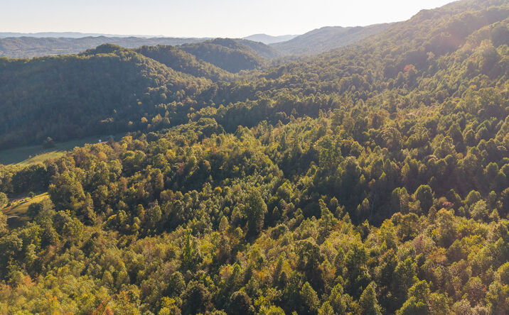 Pictures of Land property located at 0 Black Valley Rd, Sneedville, TN 37869 for sales - image #1