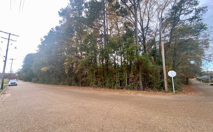 Pictures of Land property located at Llewellyn Ave, McComb, MS 39648 for sales - image #1