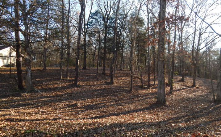 Pictures of Land property located at 0 Cedar Cove Ln, Savannah, TN 38372 for sales - image #1