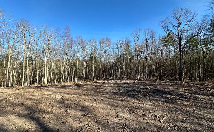 Pictures of Land property located at Lot 1.6 Foster (South) Trail, Tusten, NY 12764 for sales - image #1