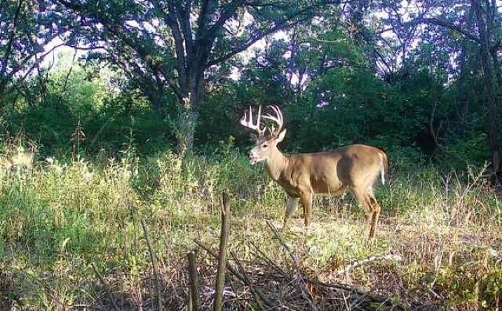 Pictures of Land, Special Purpose property located at Argo Road, Independence, MO 64057 for sales - image #1