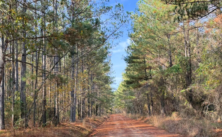 Pictures of Land property located at 22233 Hwy 16, Sparta, GA 31087 for sales - image #1
