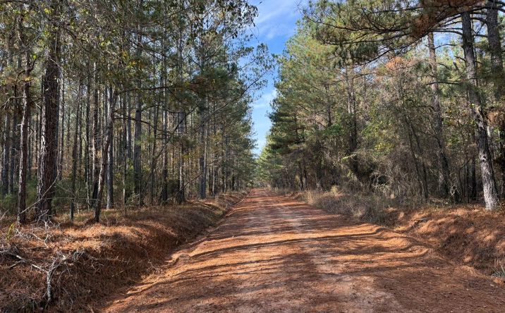 Pictures of Land property located at 22233 Hwy 16, Sparta, GA 31087 for sales - image #1