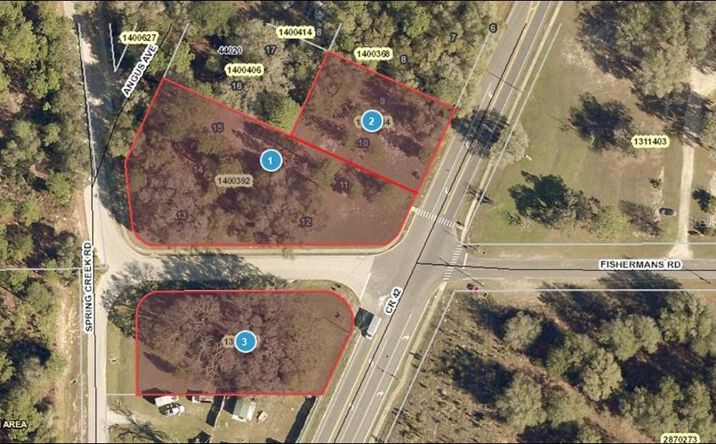 Pictures of Land property located at 25035 Co Rd 42, Paisley, FL 32767 for sales - image #1