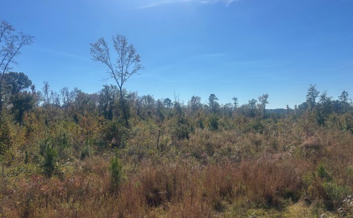 Pictures of Land property located at JD Williams Rd, Cadwell, GA 31009 for sales - image #1