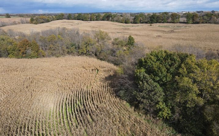 Pictures of Land property located at NE 105 Ave, Galt, MO 64641 for sales - image #1