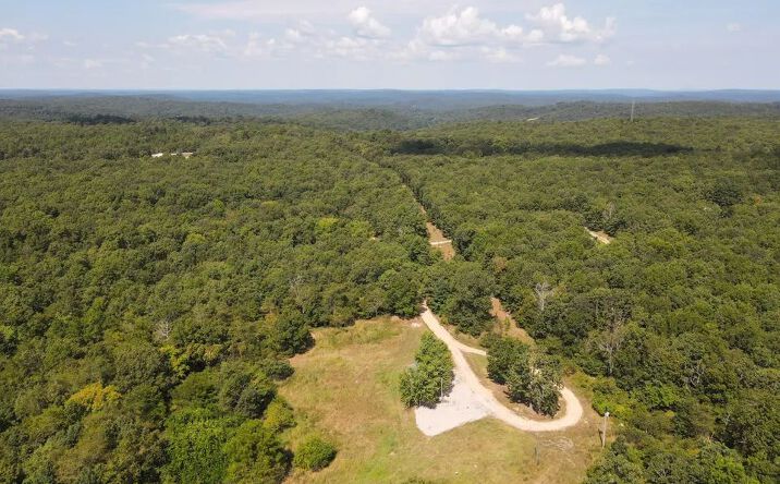 Pictures of Land property located at 000 Carter 254, Grandin, MO 63943 for sales - image #1