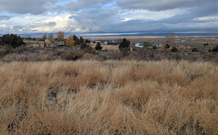 Pictures of Land property located at TL 802 King ave, Hines, OR 97738 for sales - image #1