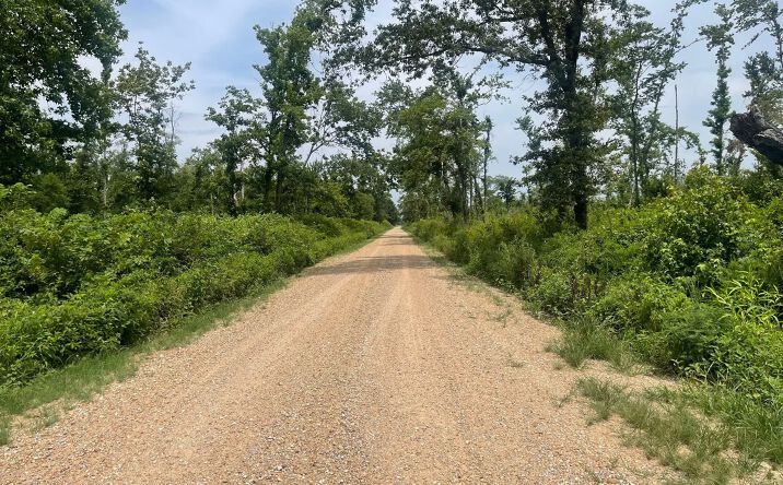 Pictures of Land property located at County Road 315, Rombauer, MO 63901 for sales - image #1