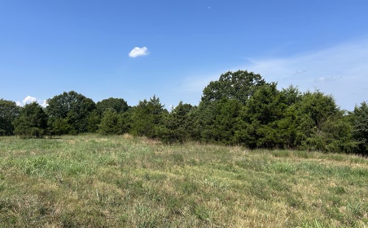 Pictures of Land property located at 1442 State Hwy, Ava, MO 65608 for sales - image #1