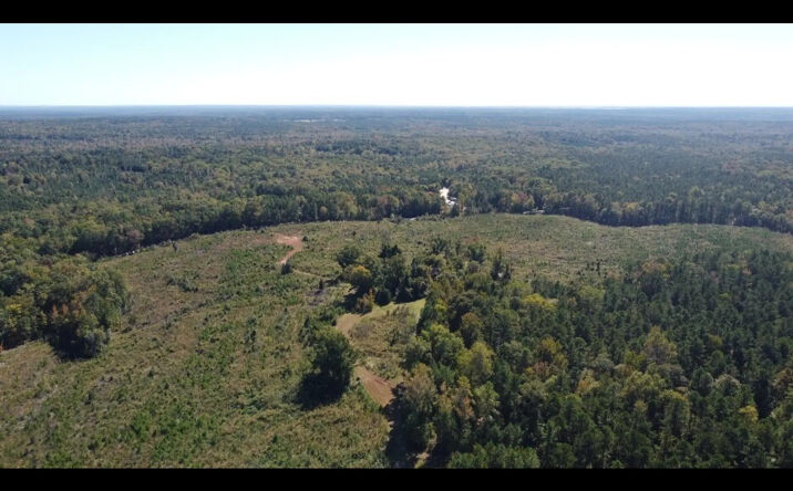 Pictures of Land property located at Drifting Rd, Ridgeway, SC 29130 for sales - image #1