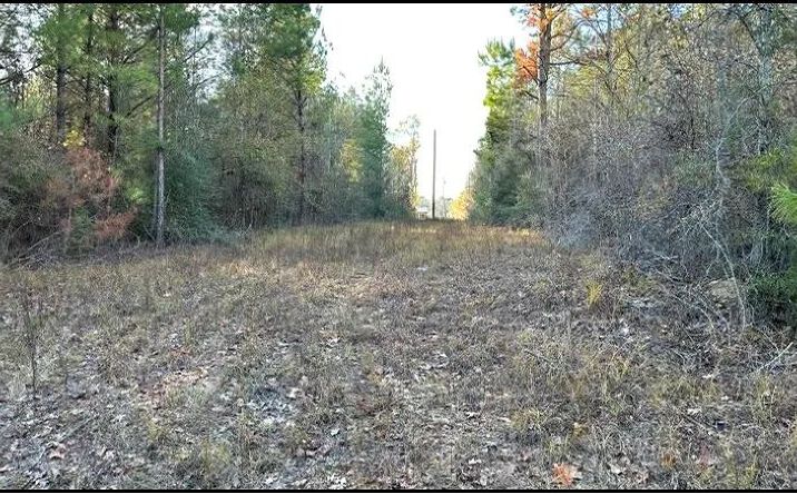 Pictures of Land property located at 1048 Williamson Road, 71226, MS 39191 for sales - image #1