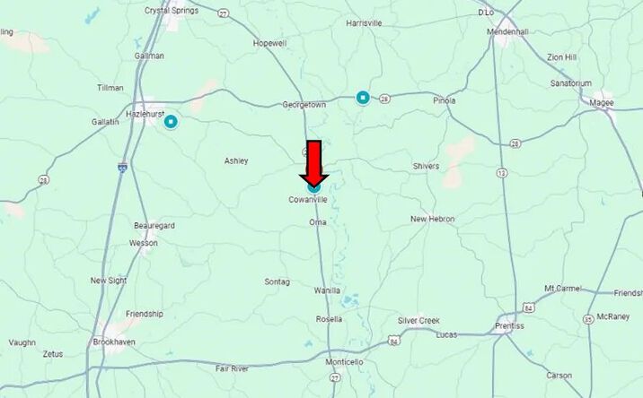 Pictures of Land property located at Dogtown Lane, 69657, MS 39083 for sales - image #1