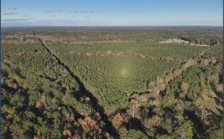 Pictures of Land property located at Whiddon Road, 68956, MS 39046 for sales - image #1