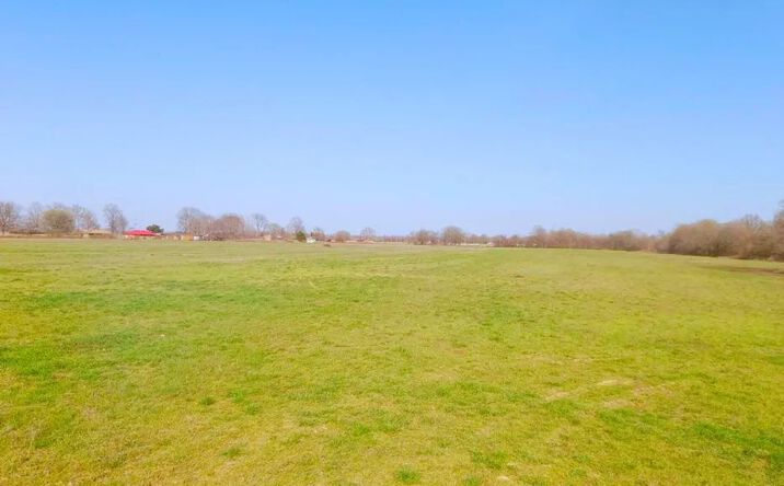 Pictures of Land property located at Marie Road, 69784, MS 38751 for sales - image #1