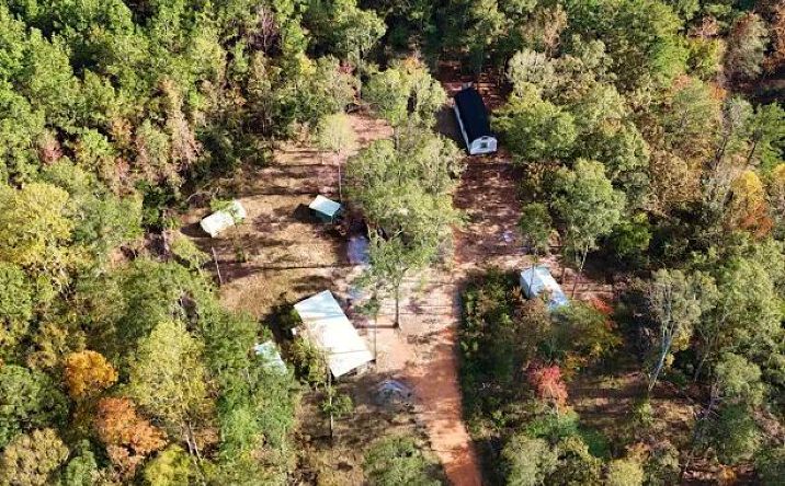 Pictures of Land property located at 6643 County road 630, 70838, MS 39360 for sales - image #1