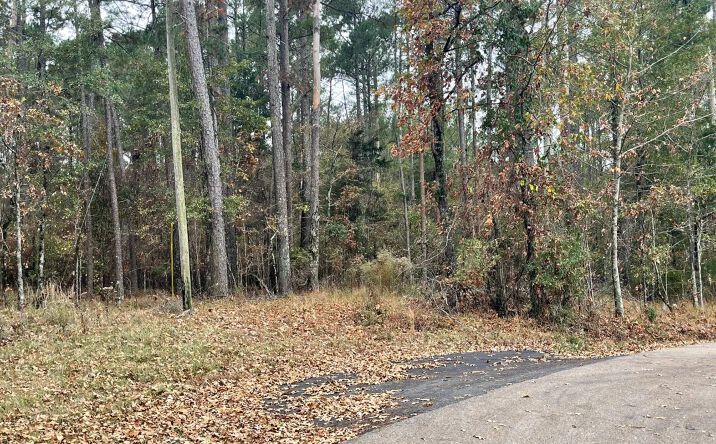 Pictures of Land property located at Old Fannin Road, 69436, MS 39232 for sales - image #1