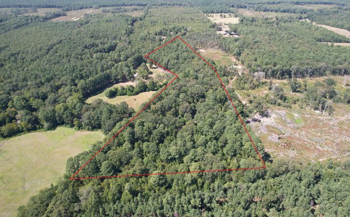Pictures of Land property located at 0 Plainview Rd., 128252, TX 75968 for sales - image #1