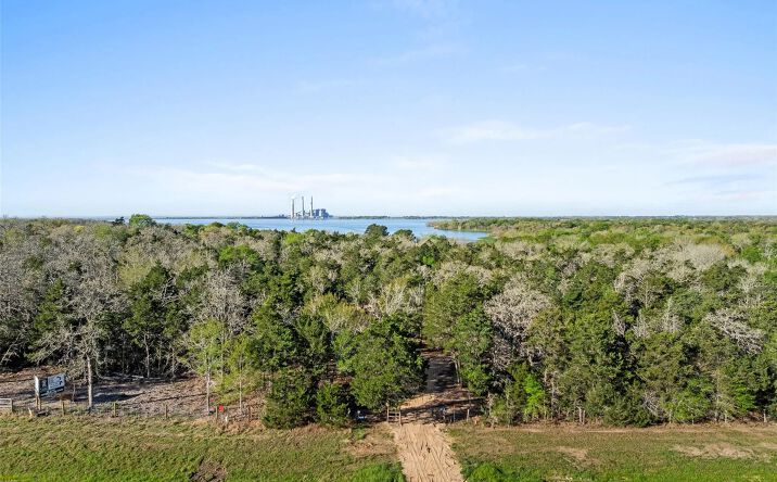 Pictures of Land property located at 4759 Hwy 159, 125497, TX 78940 for sales - image #1
