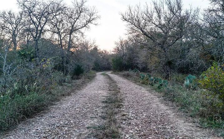 Pictures of Land property located at 137 Shady Oaks Loop,, 124486, TX 78612 for sales - image #1