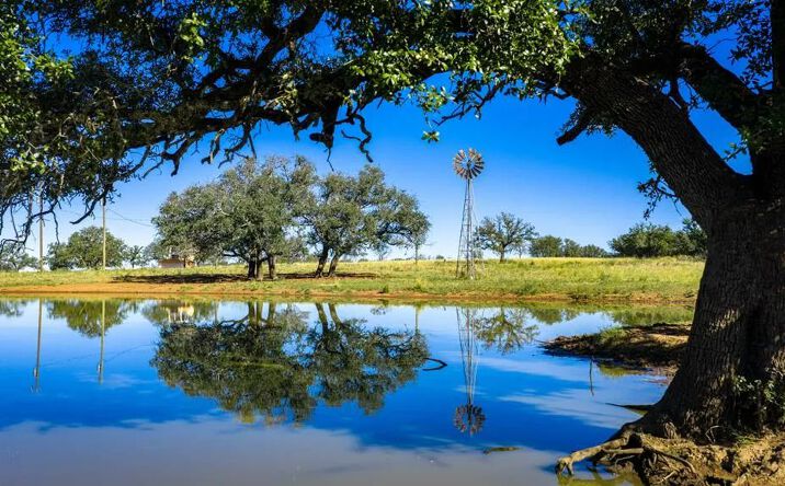 Pictures of Land property located at TBD Hwy 71, 125656, TX 76842 for sales - image #1