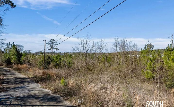 Pictures of Land property located at Evelyn Gandy Parkway, 70481, MS 39465 for sales - image #1
