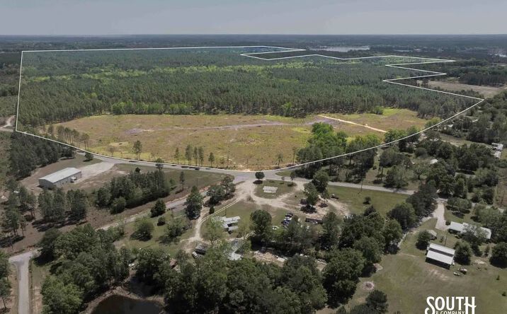 Pictures of Land property located at Purvis to Baxterville Road, 70592, MS 39475 for sales - image #1