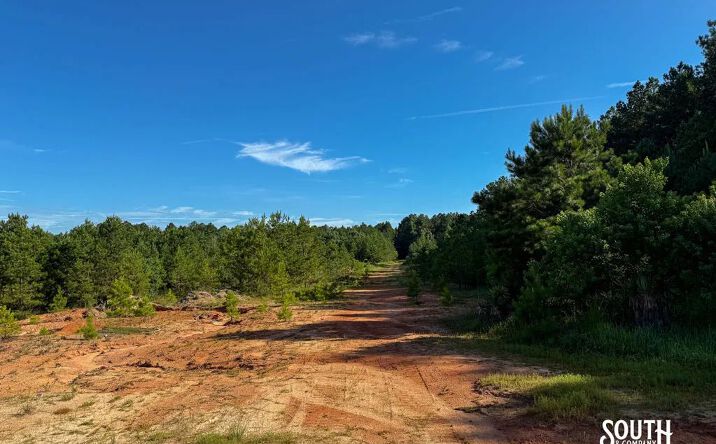 Pictures of Land property located at J. M. Burge Road, 69647, MS 39402 for sales - image #1