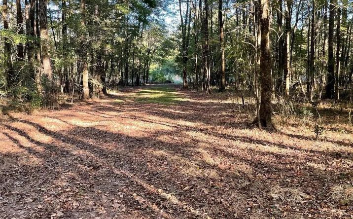 Pictures of Land property located at 00 E Lake Drive, 69073, MS 39056 for sales - image #1