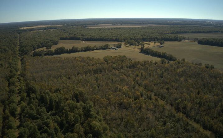 Pictures of Land property located at 4320 Highway 135, 51157, LA 71259 for sales - image #1