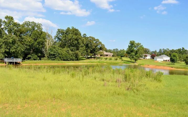 Pictures of Land property located at Berkshire Lane, 70125, MS 39648 for sales - image #1